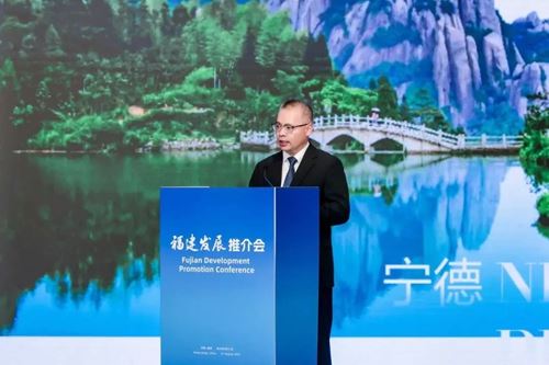 闽港携手启新篇 共绘发展同心圆——2025年福建发展推介会在香港举行(图8) 闽港携手启新篇 共绘发展同心圆——2025年福建发展推介会在香港举行(图8)