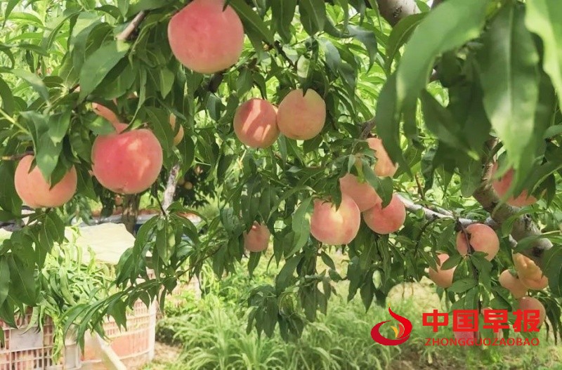 1755971023114795.jpg 640_副本.jpg