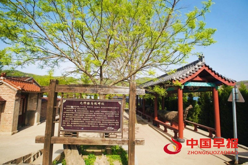 1756400235117440.jpg 5_副本.jpg