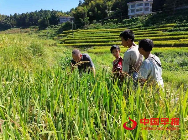 1757653518168543.jpg 图片2.jpg