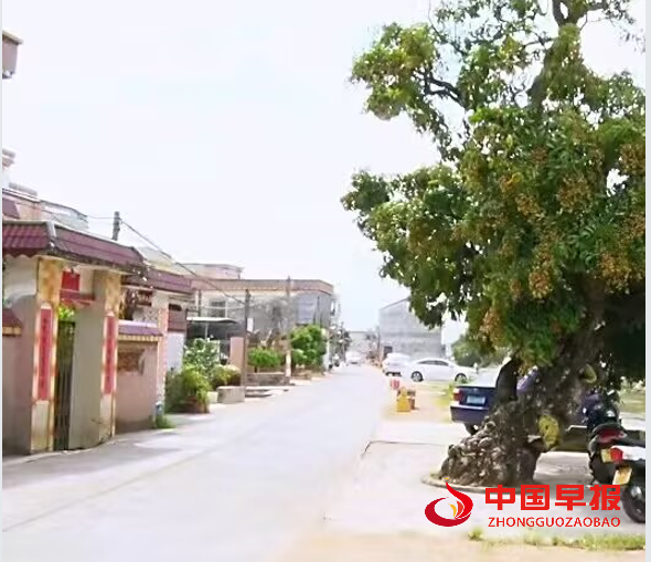 1757905064204115.png 5.png