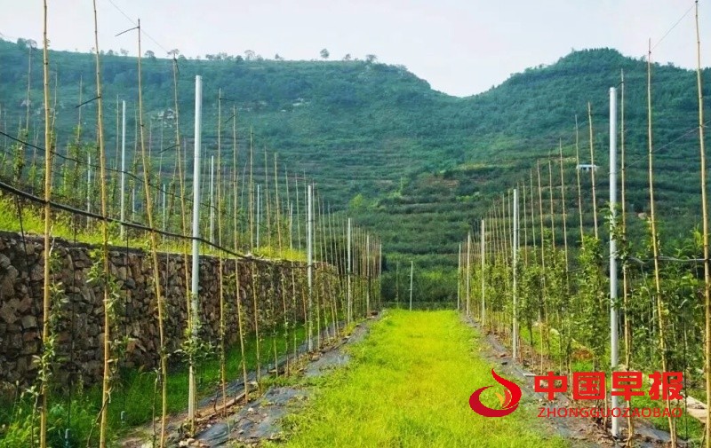 1757955973953276.jpg 640 (1)_副本.jpg