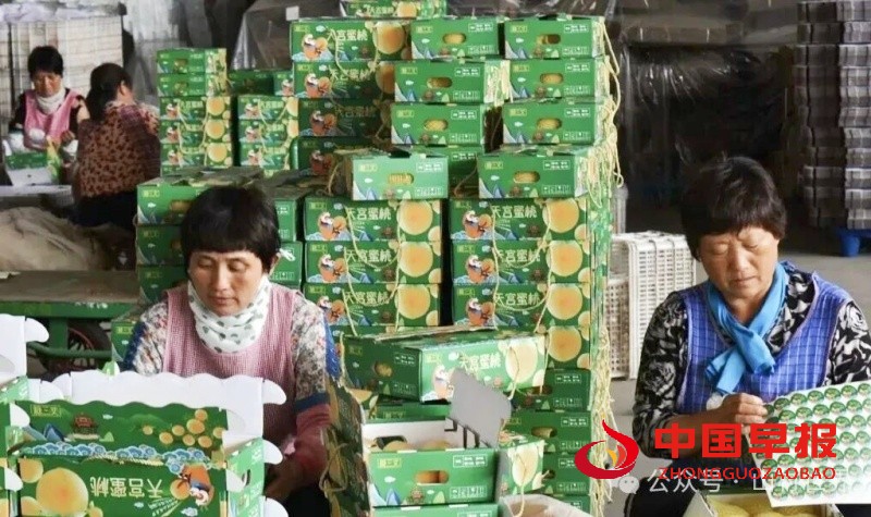 1757955986144435.jpg 640 (2)_副本.jpg