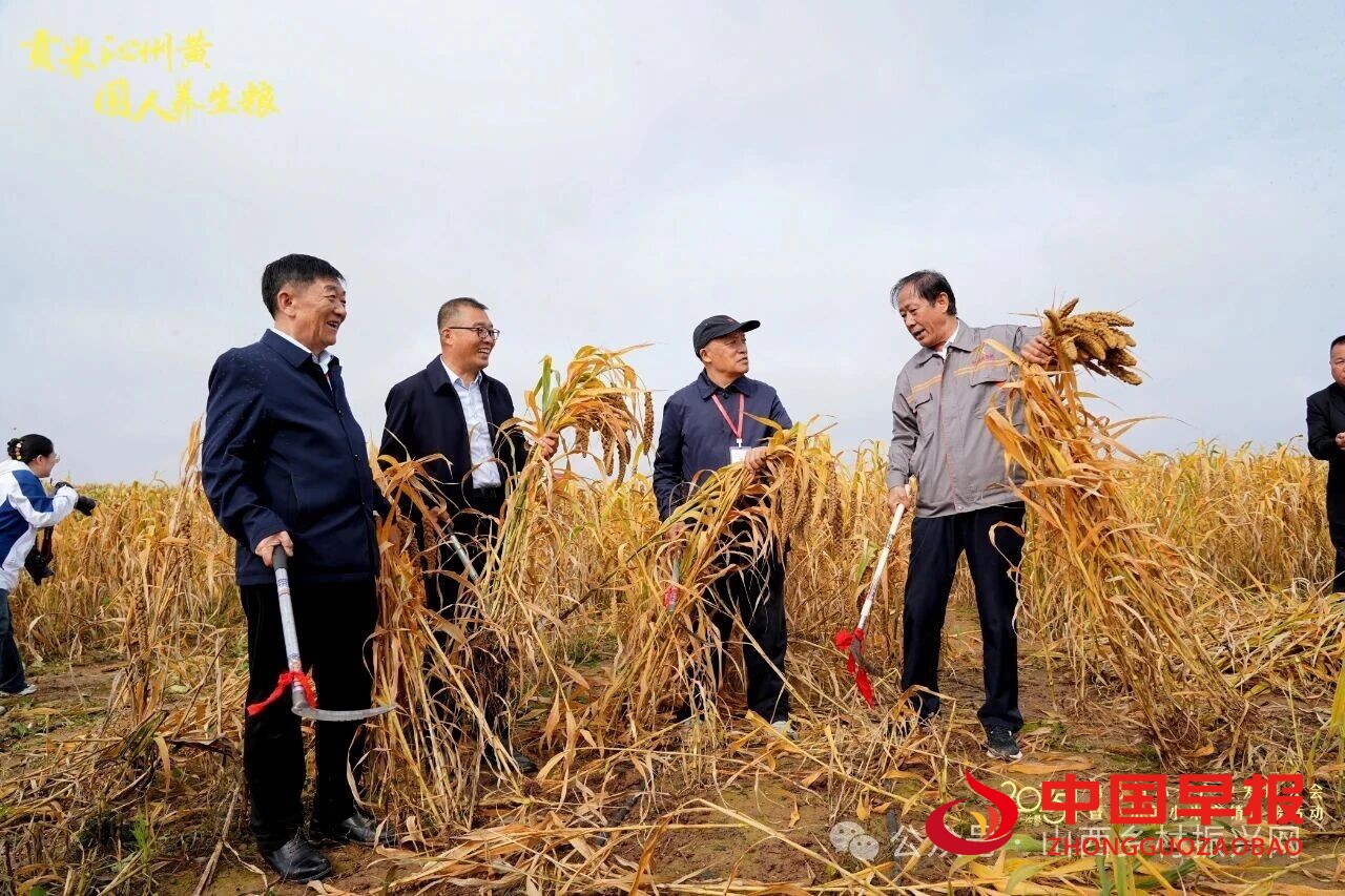 1759194339178910.jpg 图片05.jpg