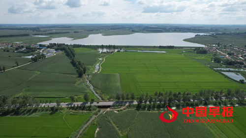 农安县三岗镇永远村:兵支书领航振兴路,特色物产誉乡邻(图4) 农安县三岗镇永远村:兵支书领航振兴路,特色物产誉乡邻(图4)