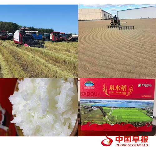 农安县三岗镇永远村:兵支书领航振兴路,特色物产誉乡邻(图5) 农安县三岗镇永远村:兵支书领航振兴路,特色物产誉乡邻(图5)