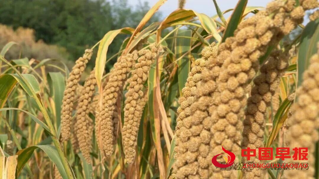 1760082463957419.jpg 图片02.jpg