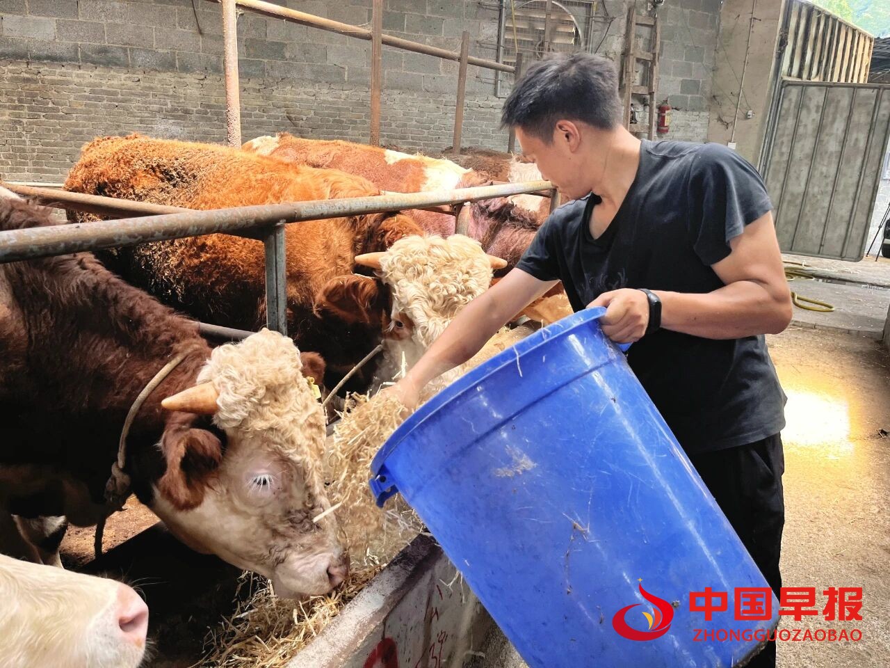 1760426234141391.jpg 图片02.jpg