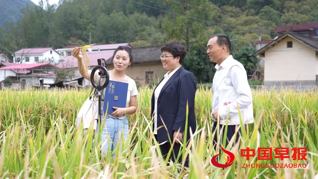 1760581782149455.jpg 图片01.jpg