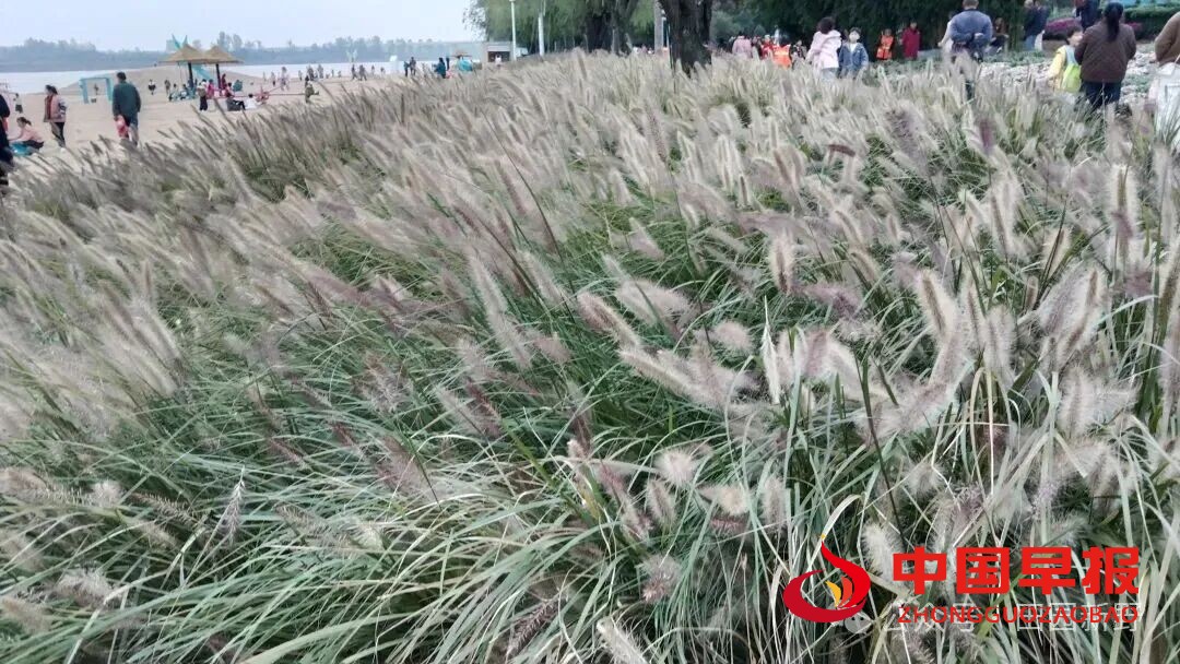 1760948785154635.jpg 图片09.jpg