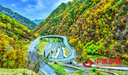 青海海东:“文旅 +” 多元融合激活发展新动能 绘就富民兴市新图景(图6) 青海海东:“文旅 +” 多元融合激活发展新动能 绘就富民兴市新图景(图6)