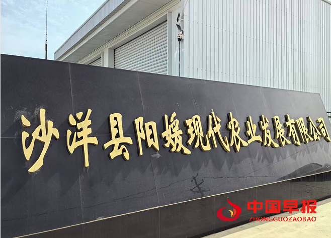 1761019832652536.png 4阳媛公司.png