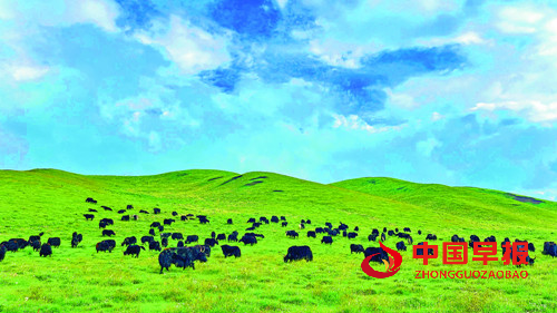 青海海东商贸发展跑出“加速度” 商贸经济交出亮眼答卷(图5) 青海海东商贸发展跑出“加速度” 商贸经济交出亮眼答卷(图5)