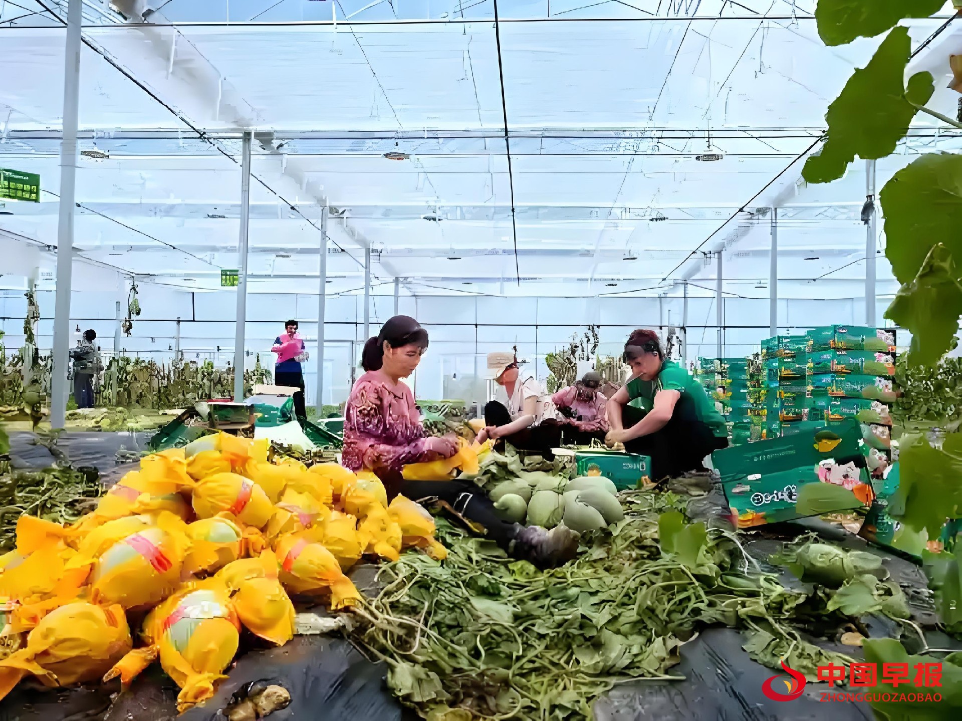 1761035295655227.jpg 图片04.jpg