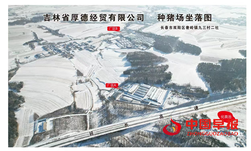 解码吉林省厚德经贸有限公司种猪场的“无抗密码”(图2) 解码吉林省厚德经贸有限公司种猪场的“无抗密码”(图2)