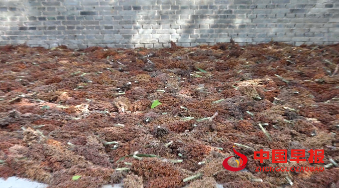 1761131509107755.png 微信图片_2025-10-22_190648_364.png