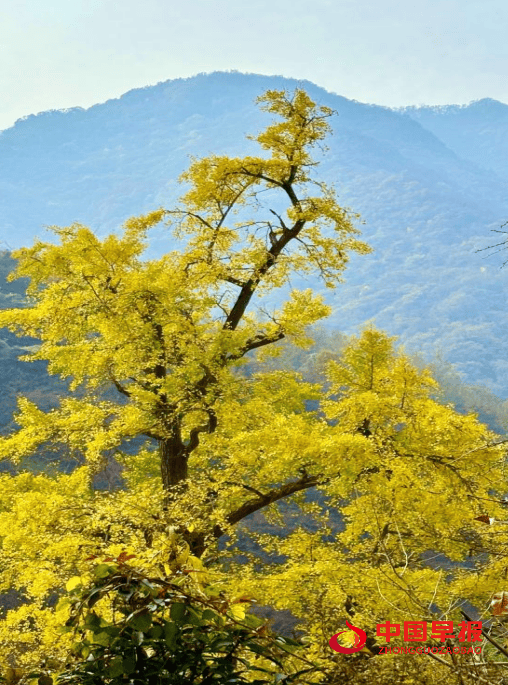 1762484109234658.png 图片04.png