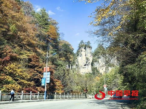 1763282972173608.jpg 微信图片_20251116162641_21_65.jpg