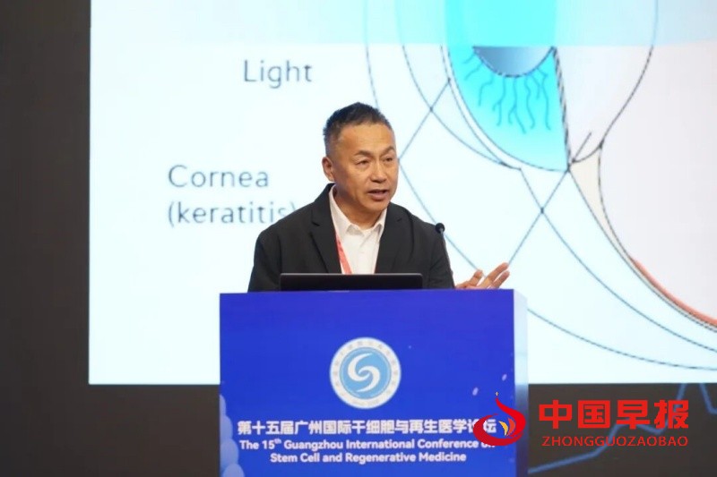 1764946374447446.jpg 2_副本.jpg