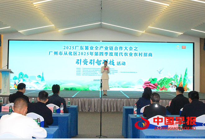 1765619751522107.png 22.png