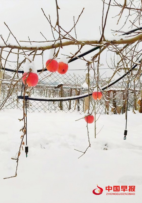 1765623154174828.jpg 3_副本.jpg