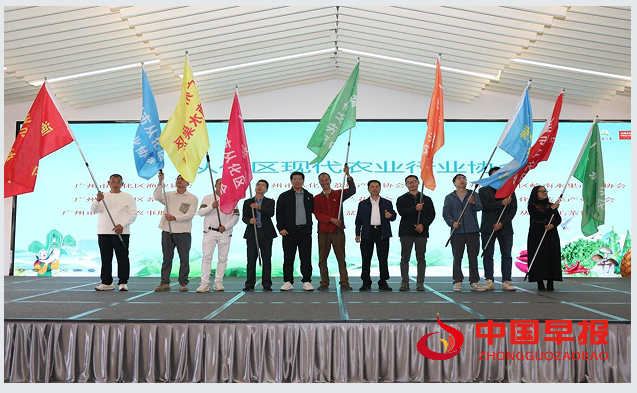 1765627929643305.png 77.png