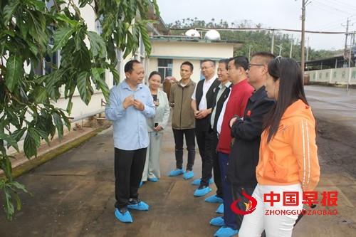 1766146463121491.jpg 1.jpg