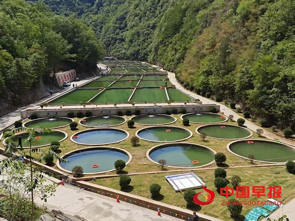 1766322413125168.jpg 微信图片_20251221173119_77_58.jpg