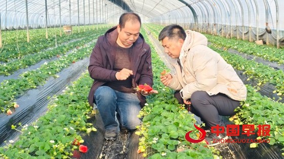 1766370186211046.jpg 微信图片_20251221185924_423_15.jpg