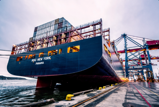 1768634645196157.png 1_副本.png